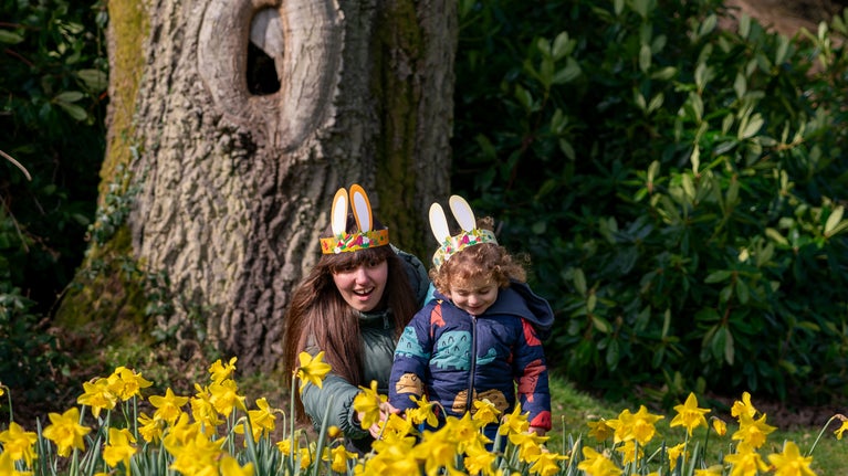 Family in the daffodils enjoying a spring garden